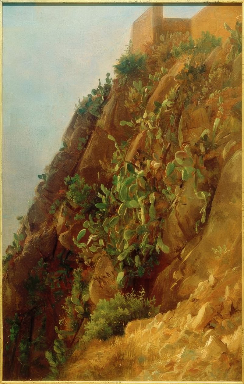 C. Morgenstern, opuntie sul pendio a Capri da Carl Morgenstern
