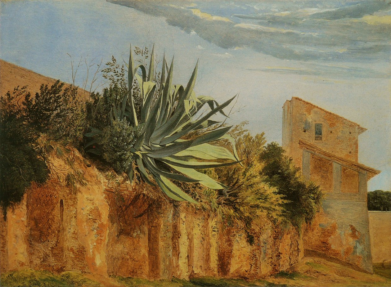 Sulle mura della città di Roma da Carl Wagner