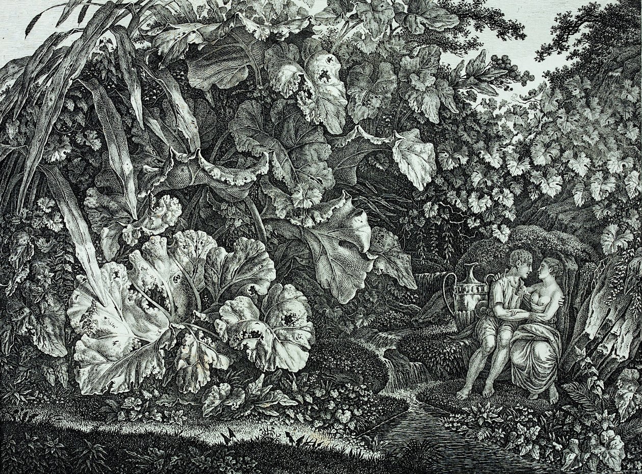 Amanti in una grotta, circondati da piante ed erbe da Carl Wilhelm Kolbe