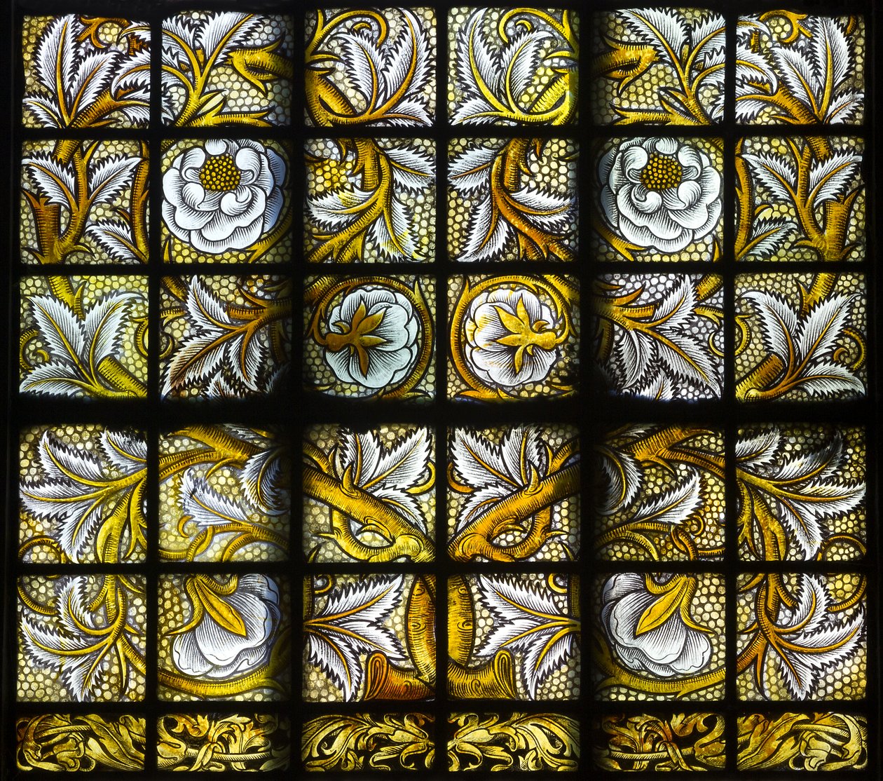 Quarries foliati, 1884 da Carl Almquist