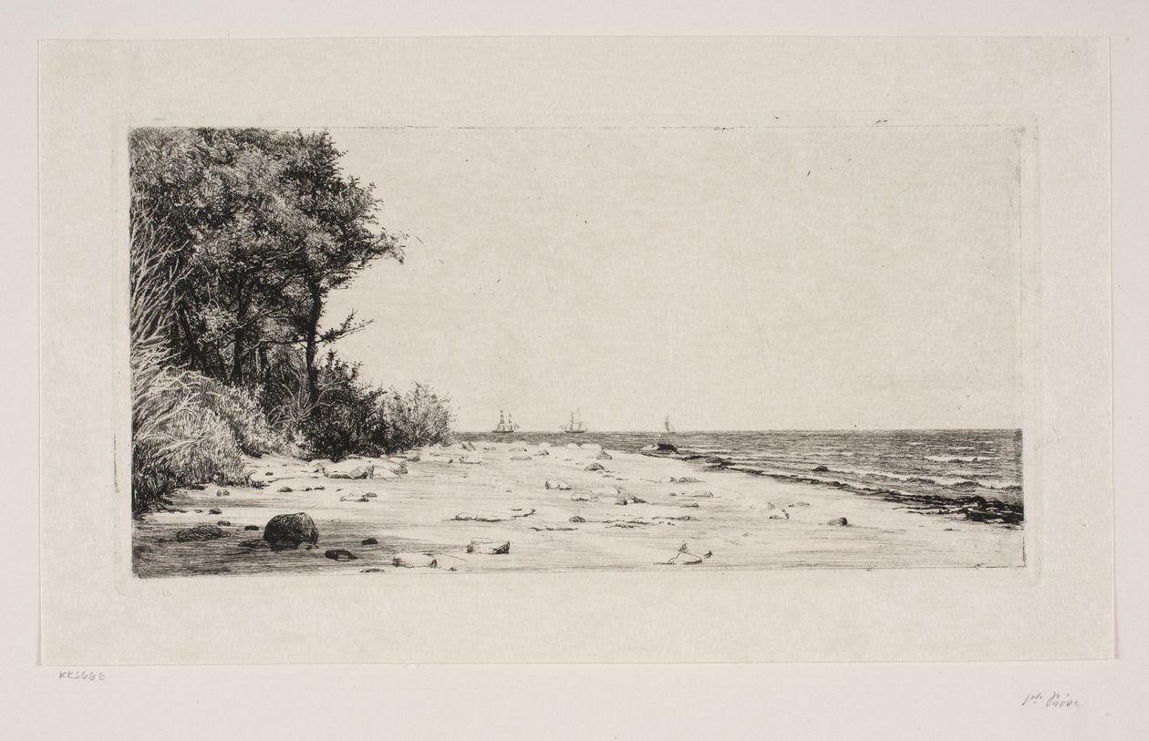 Dalla costa settentrionale della Zelanda. Piantagione di Hornbæk da Carl Bloch