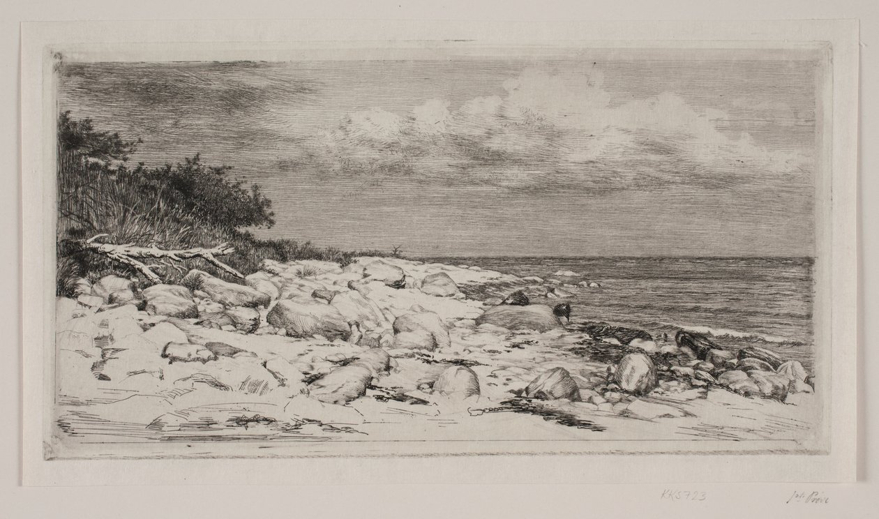 Costa rocciosa da Carl Bloch