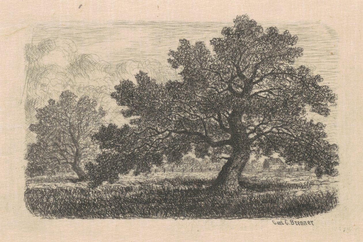 Alberi di mele da Carl C. Brenner
