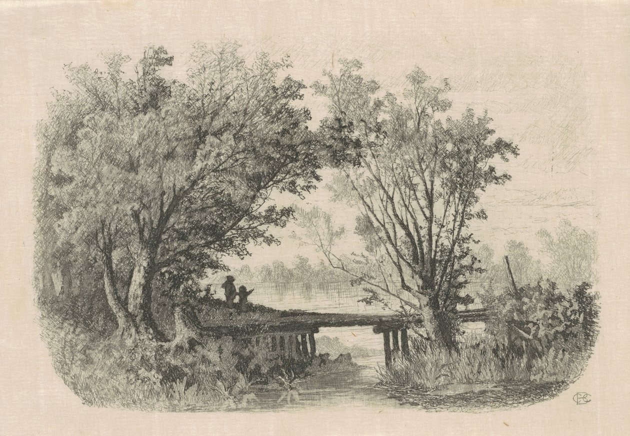 Salici da Carl C. Brenner