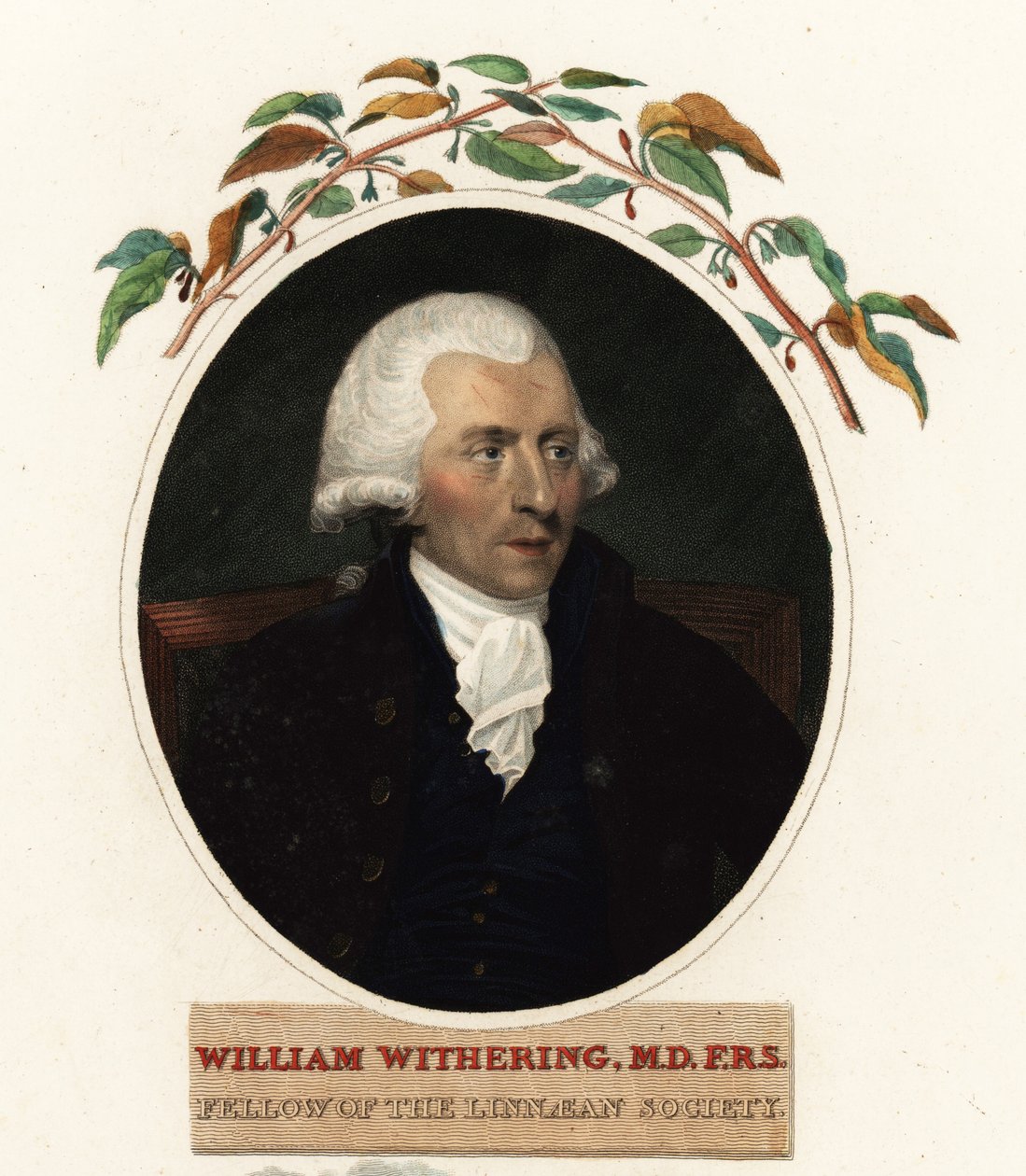 Ritratto di William Withering, medico e botanico da Carl Frederik van (after) Breda