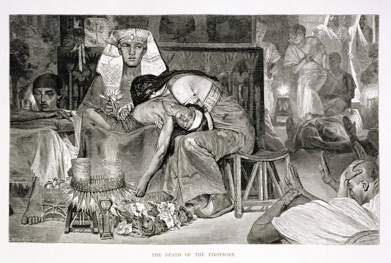 La morte del primogenito, XIX secolo da Carl Friedrich Heinrich Werner