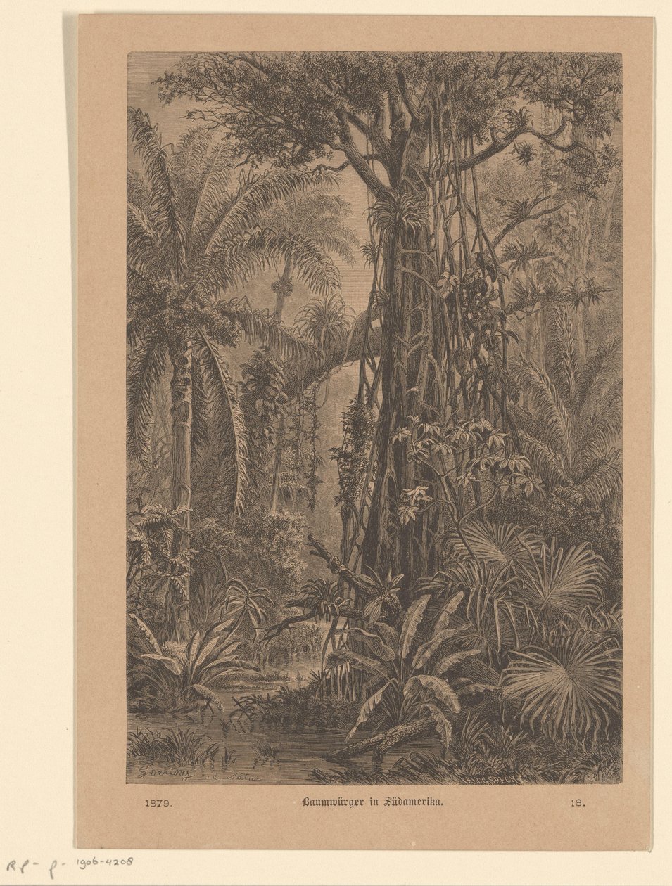 Paesaggio boschivo da Carl Gottlob Specht