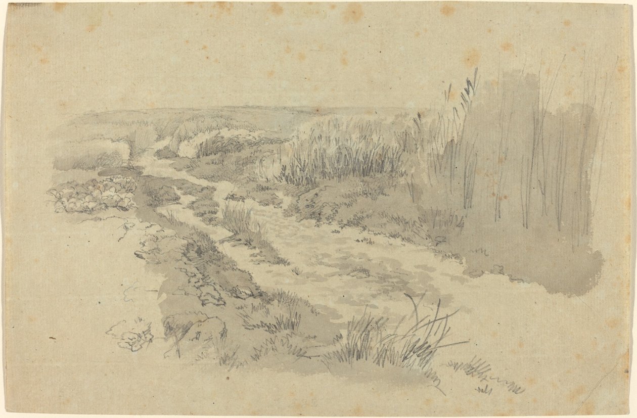 Un Sentiero tra i Campi vicino a Lipsia da Carl Gustav Carus