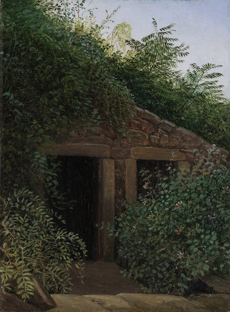 Un Pozzo Minerario Ricoperto da Carl Gustav Carus
