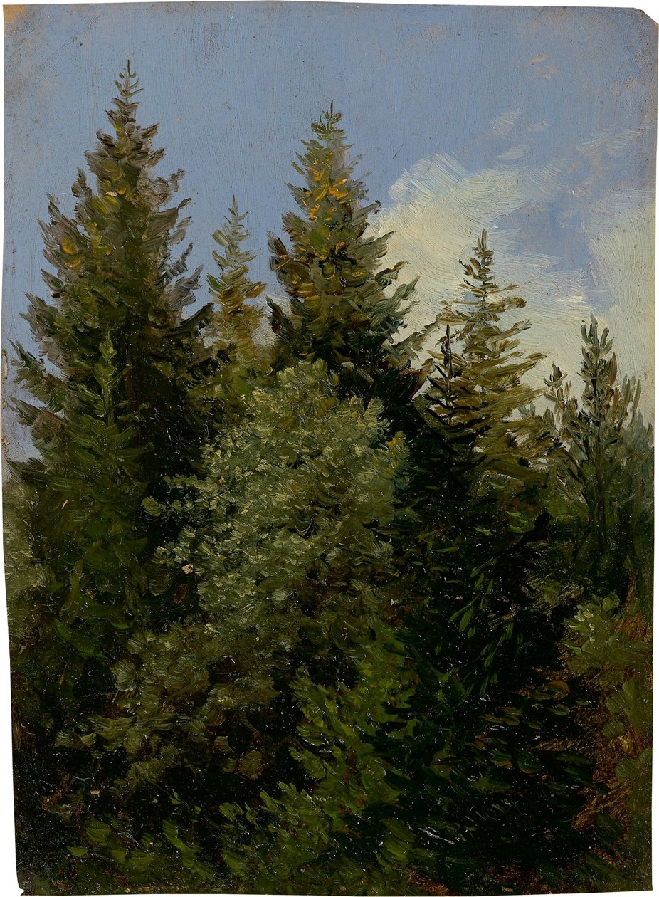 Abeti da Carl Gustav Carus