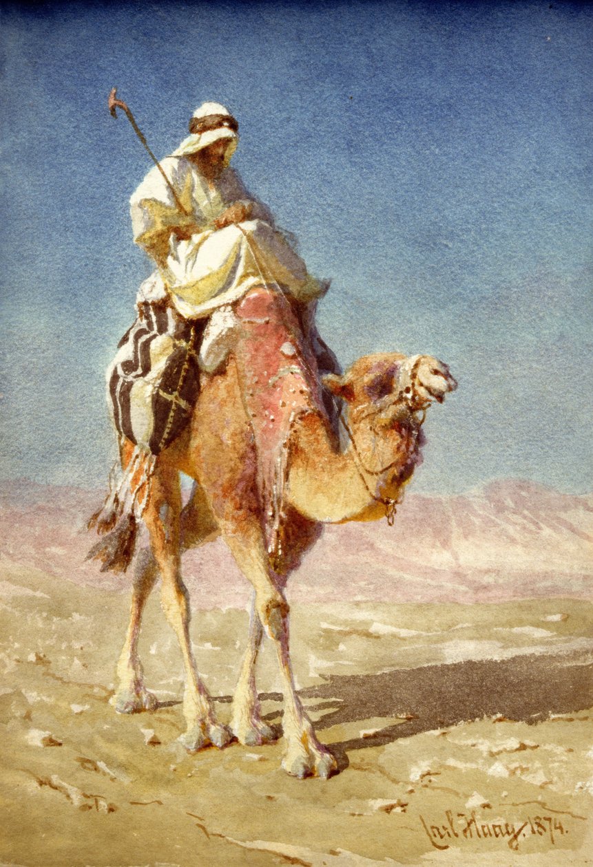 Un beduino sul dorso di un cammello da Carl Haag