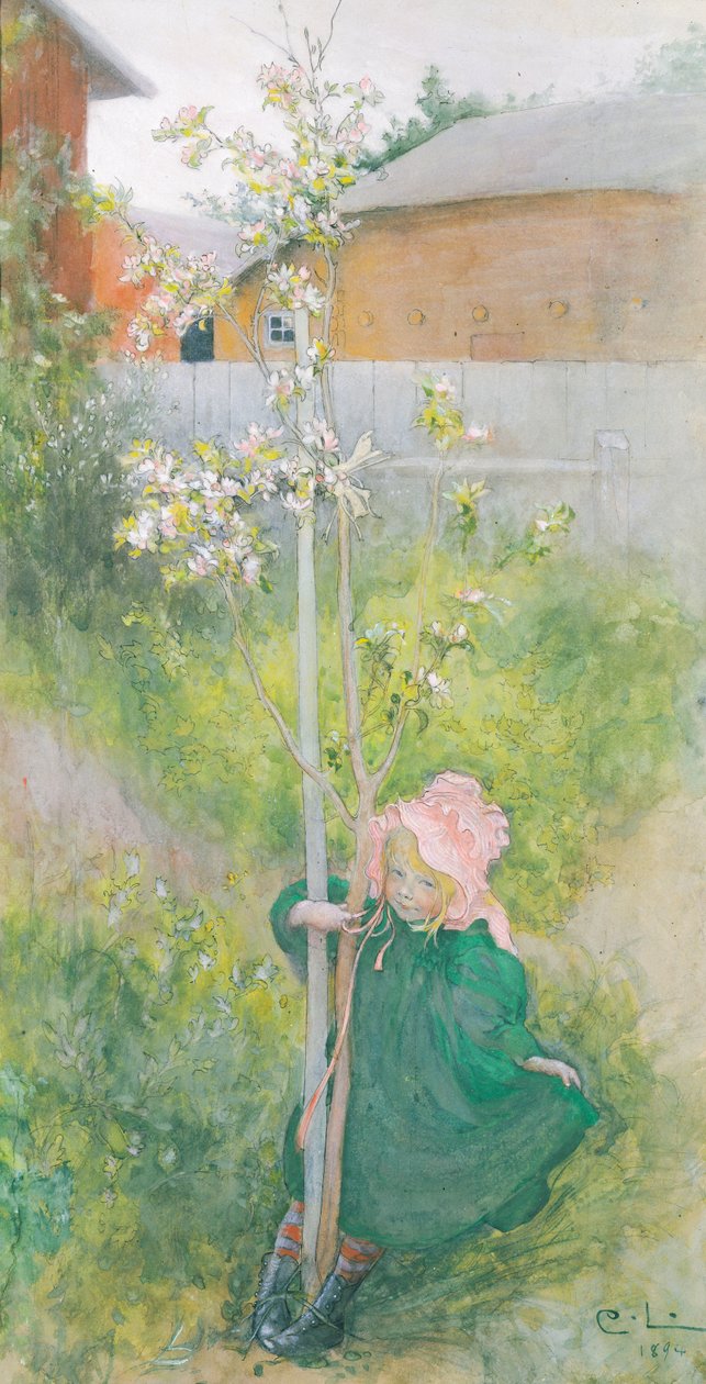 Fioritura di melo, 1894 da Carl Larsson