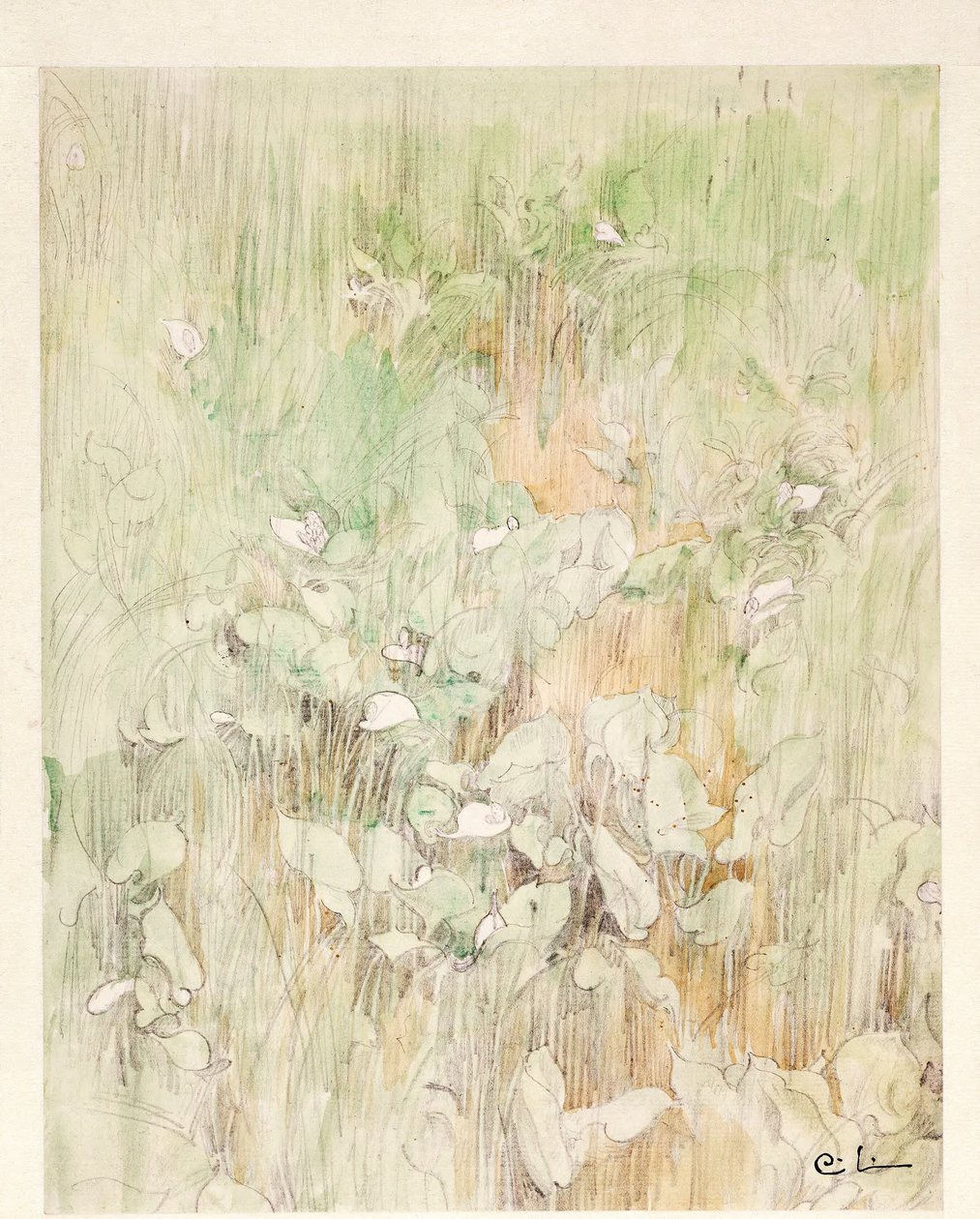 Kallor da Carl Larsson