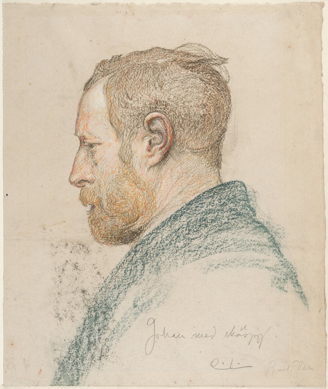 Testa di uomo di profilo da Carl Larsson