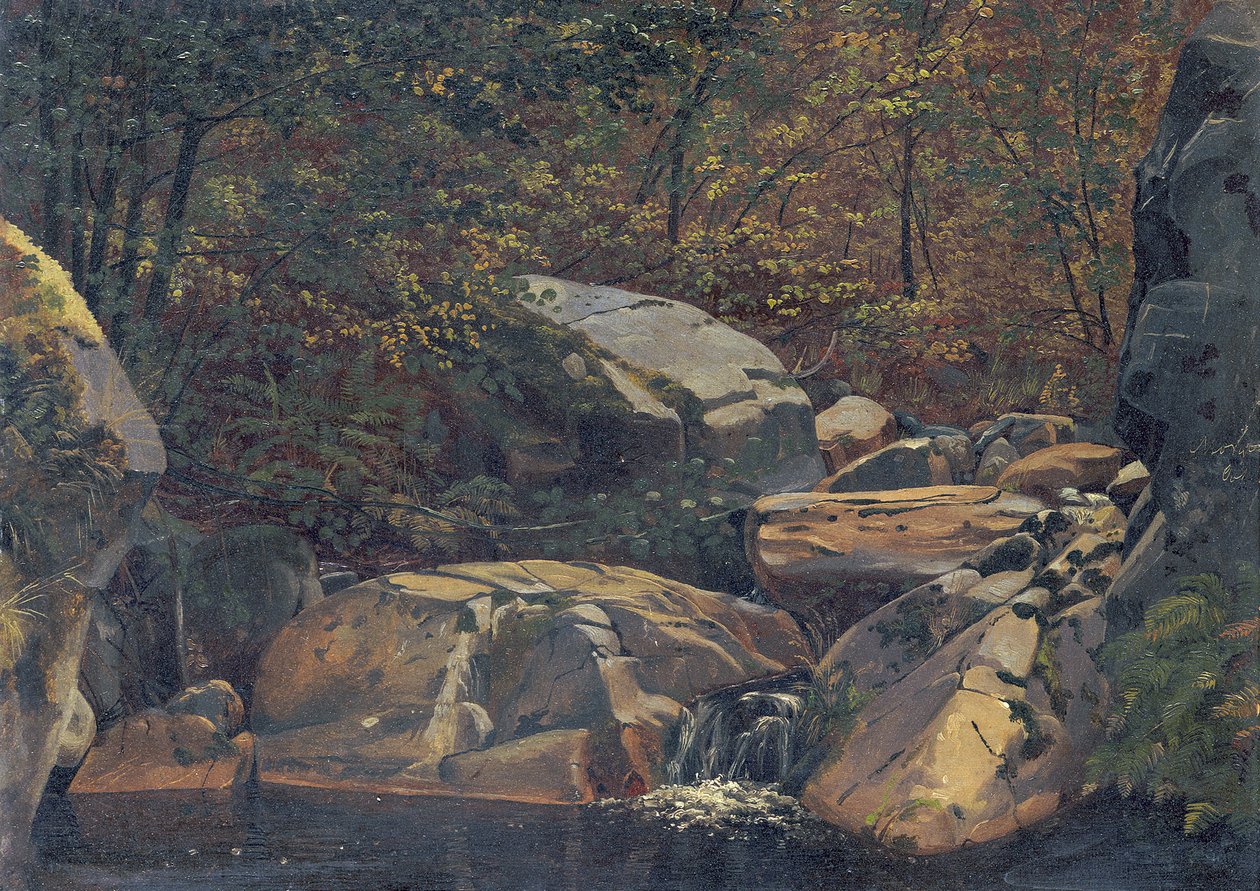 Ruscello nel bosco (Cascata tra massi rocciosi) da Carl Morgenstern