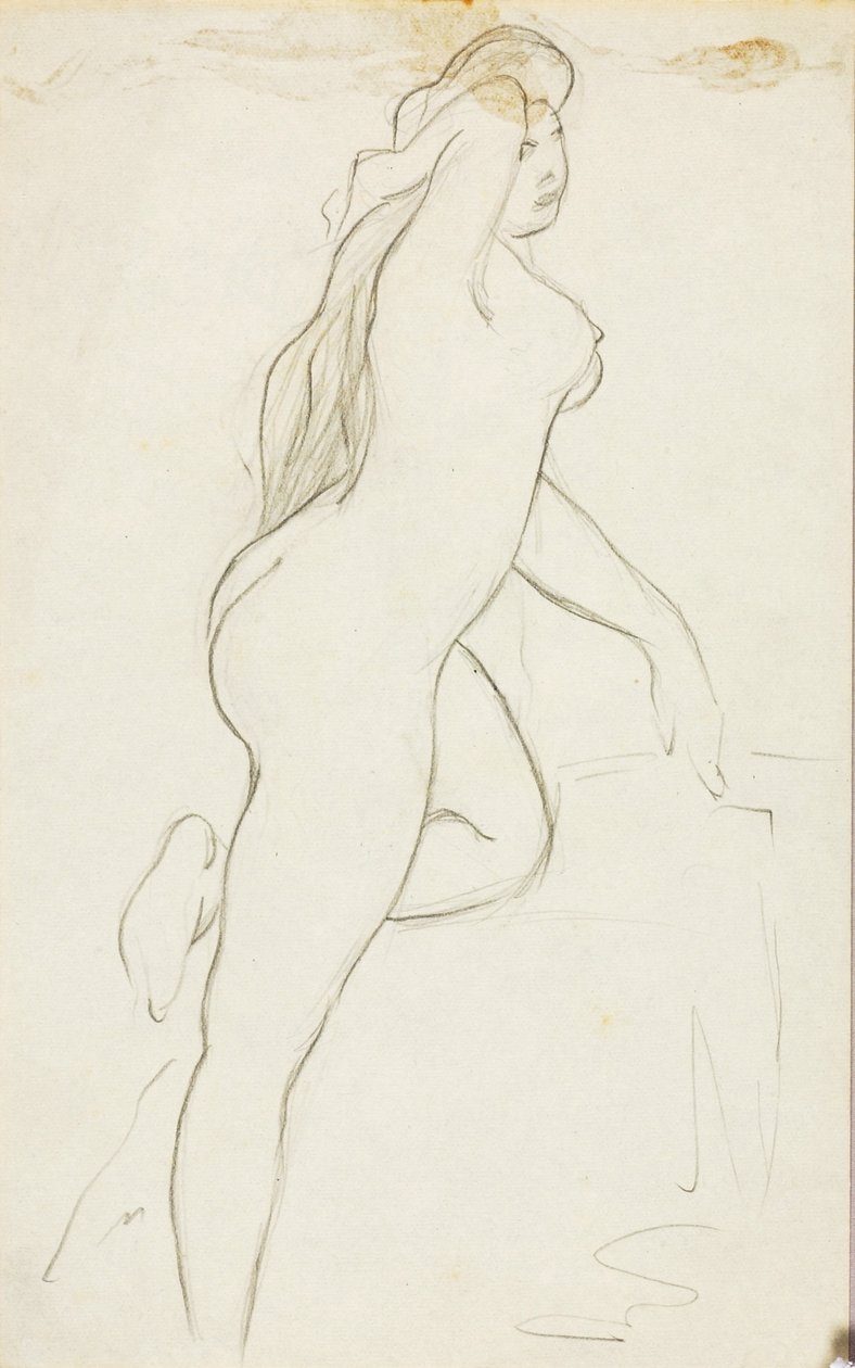 Nudo femminile da Carl Newman