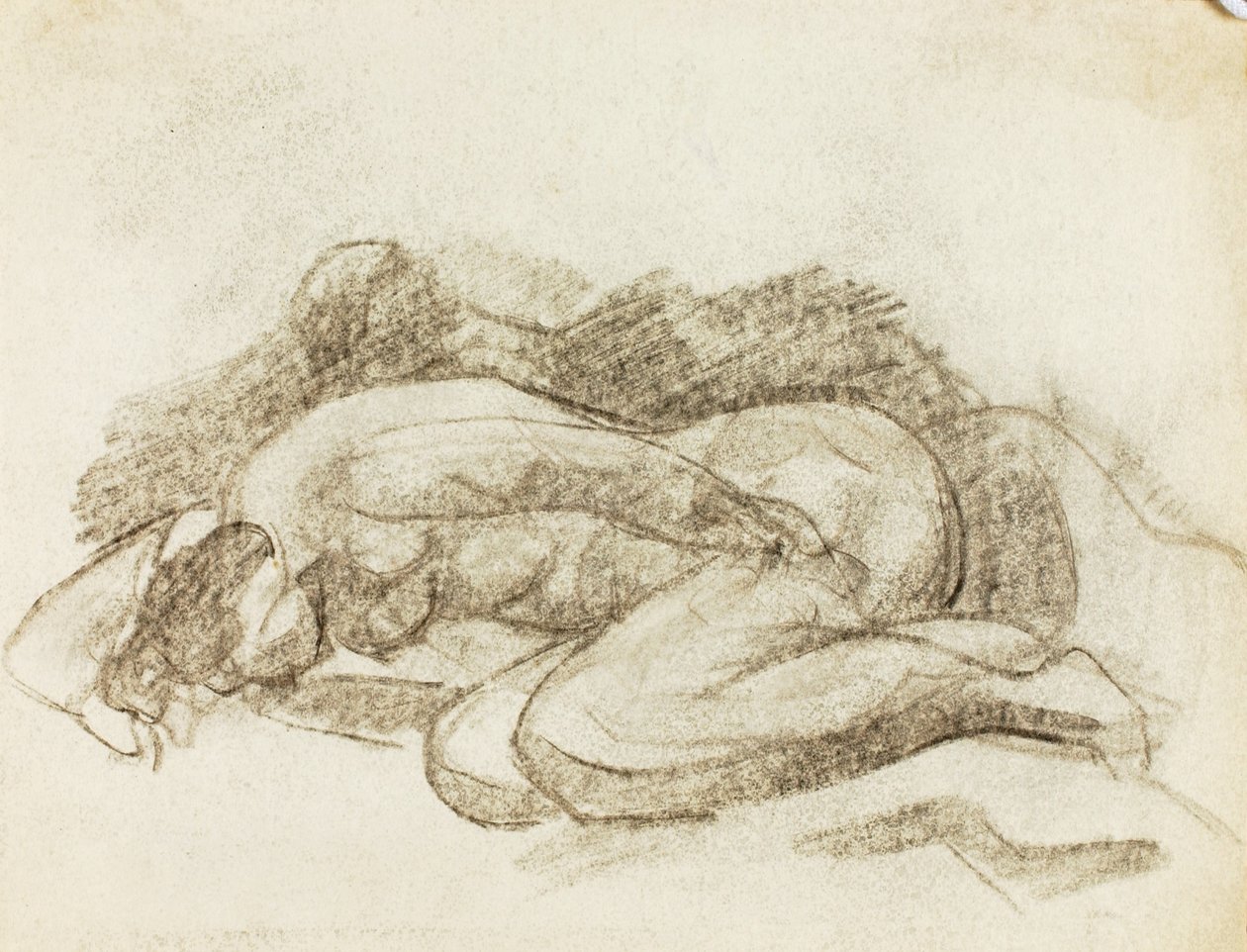 Nudo femminile sdraiato da Carl Newman