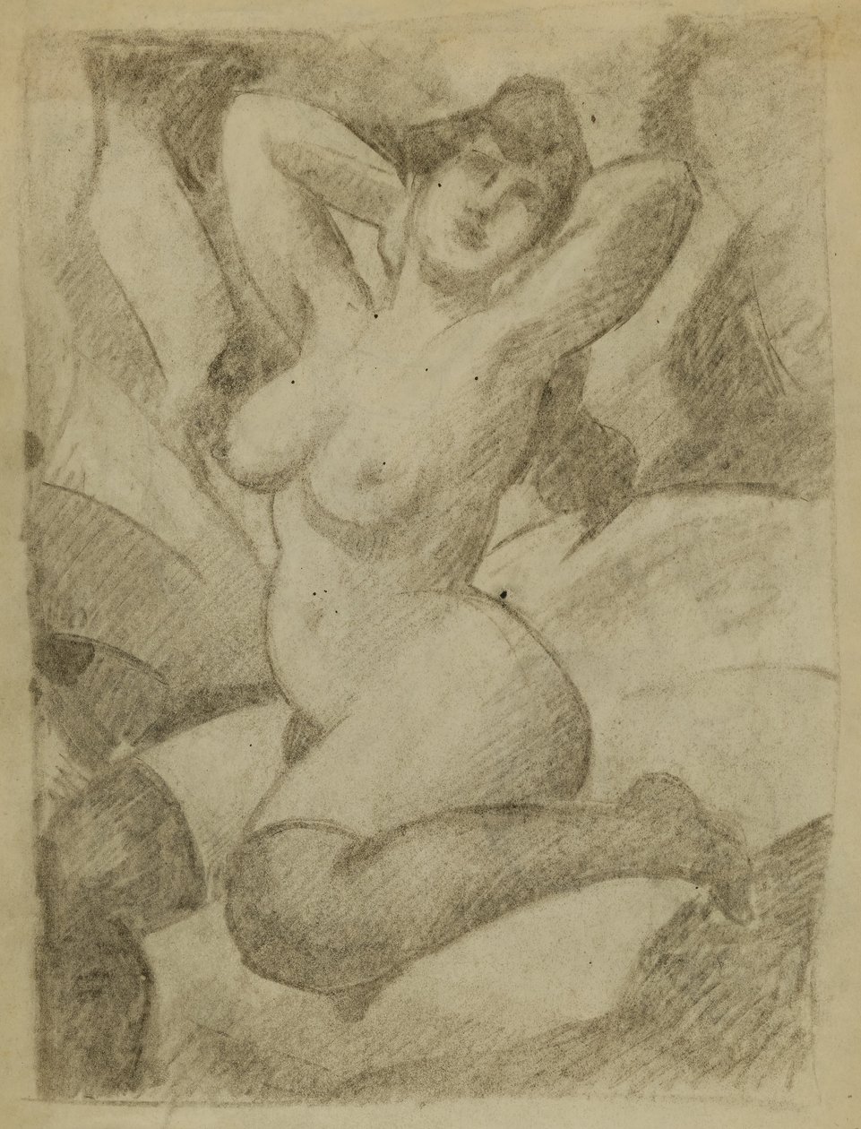 Nudo femminile con calze nere da Carl Newman