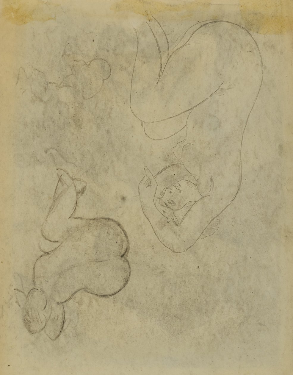 Due studi di figure femminili da Carl Newman