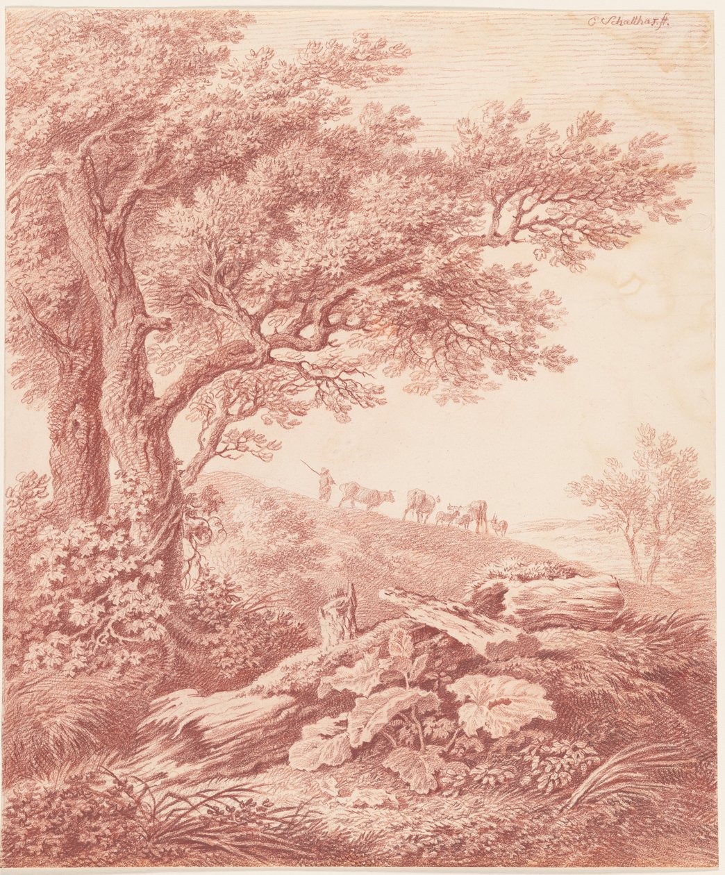 Alberi antichi in un paesaggio pastorale da Carl Philipp Schallhas
