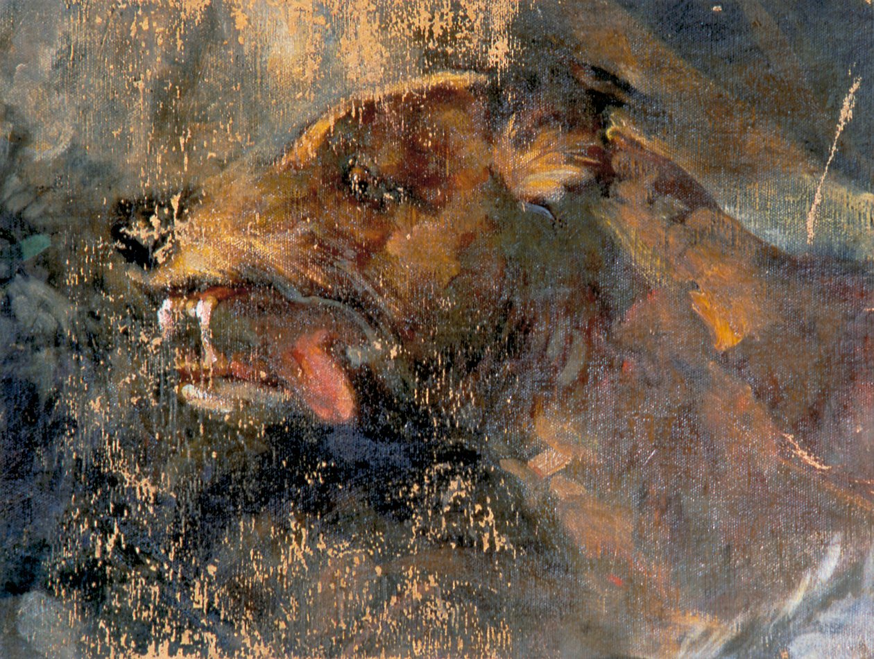 Testa di cane da Carl Rudolf Huber