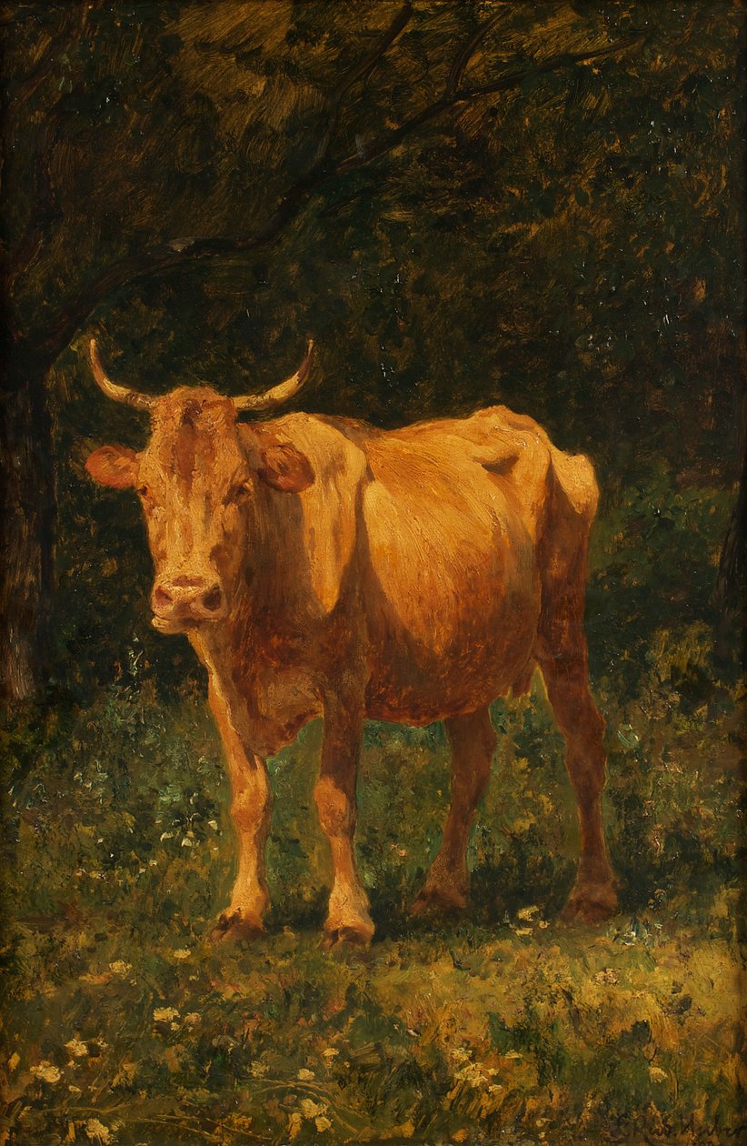 Mucca color pane da Carl Rudolf Huber