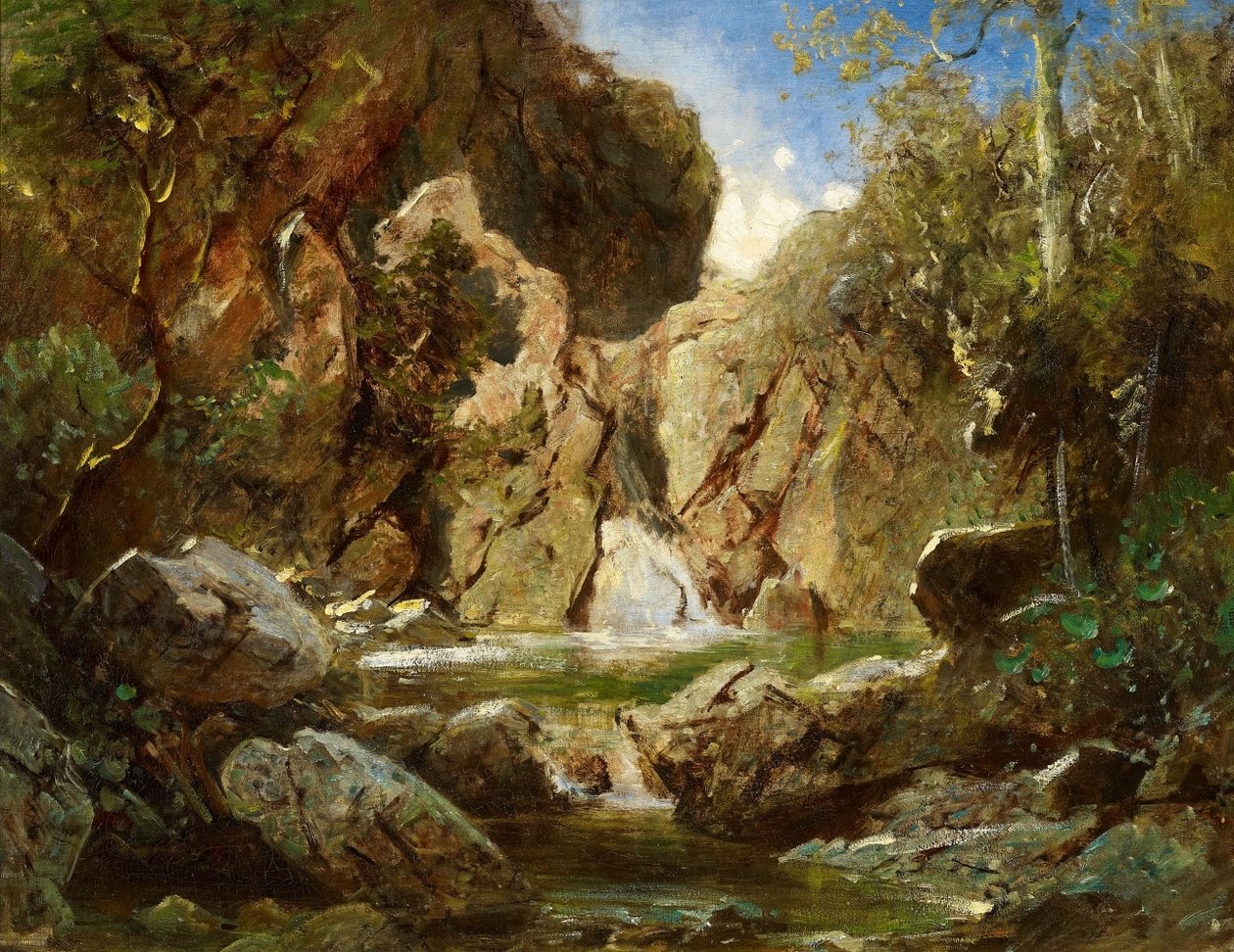 Gola rocciosa con acqua selvaggia da Carl Spitzweg