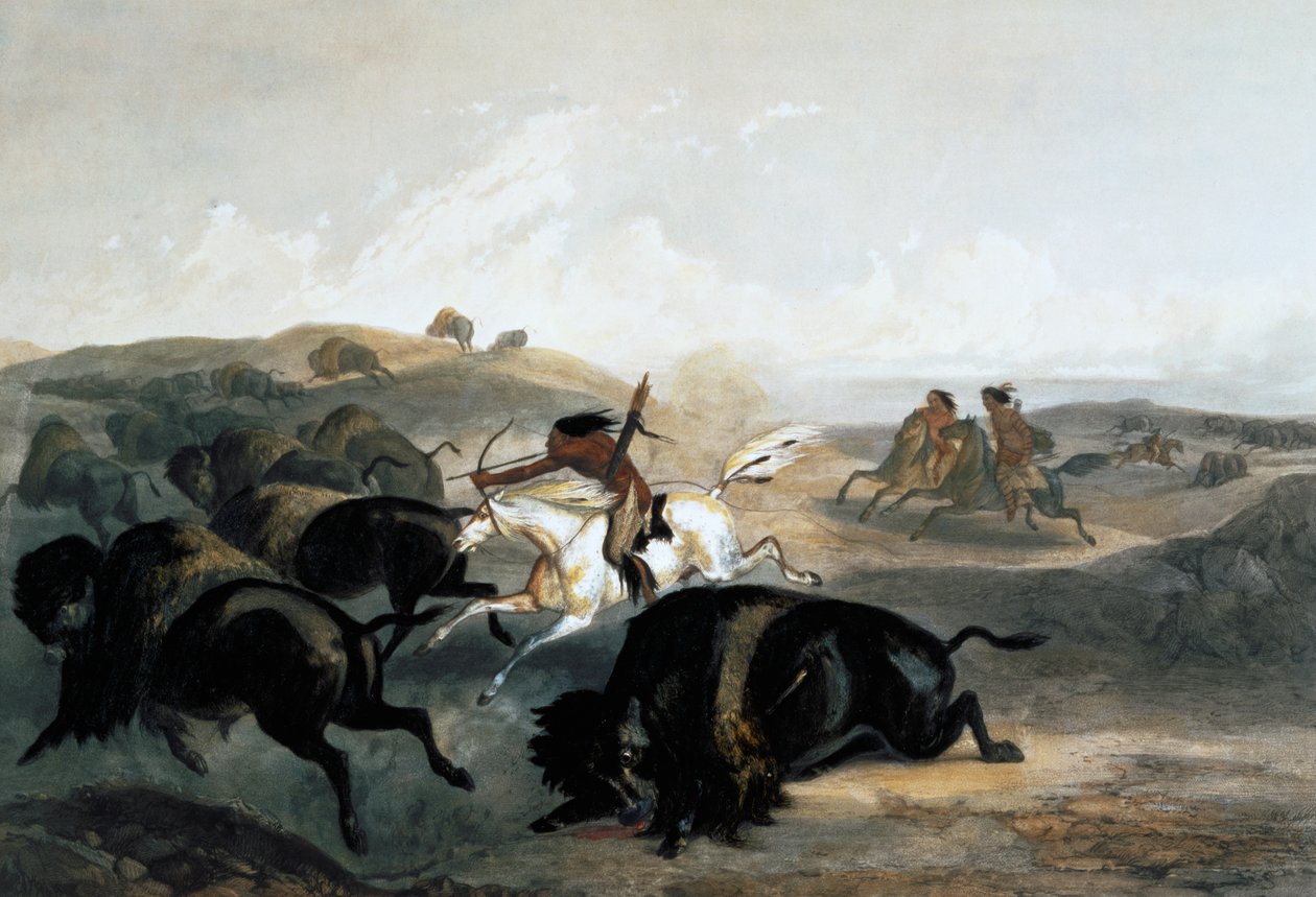 Indiani che cacciano il bisonte, 1843 da Carl Vogel