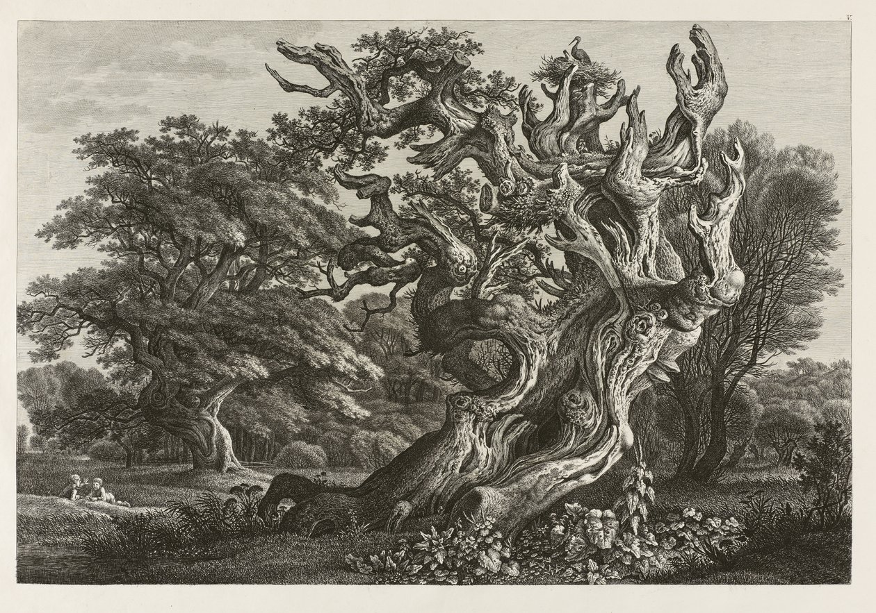 Grande quercia fantastica con un nido di cicogne da Carl Wilhelm Kolbe