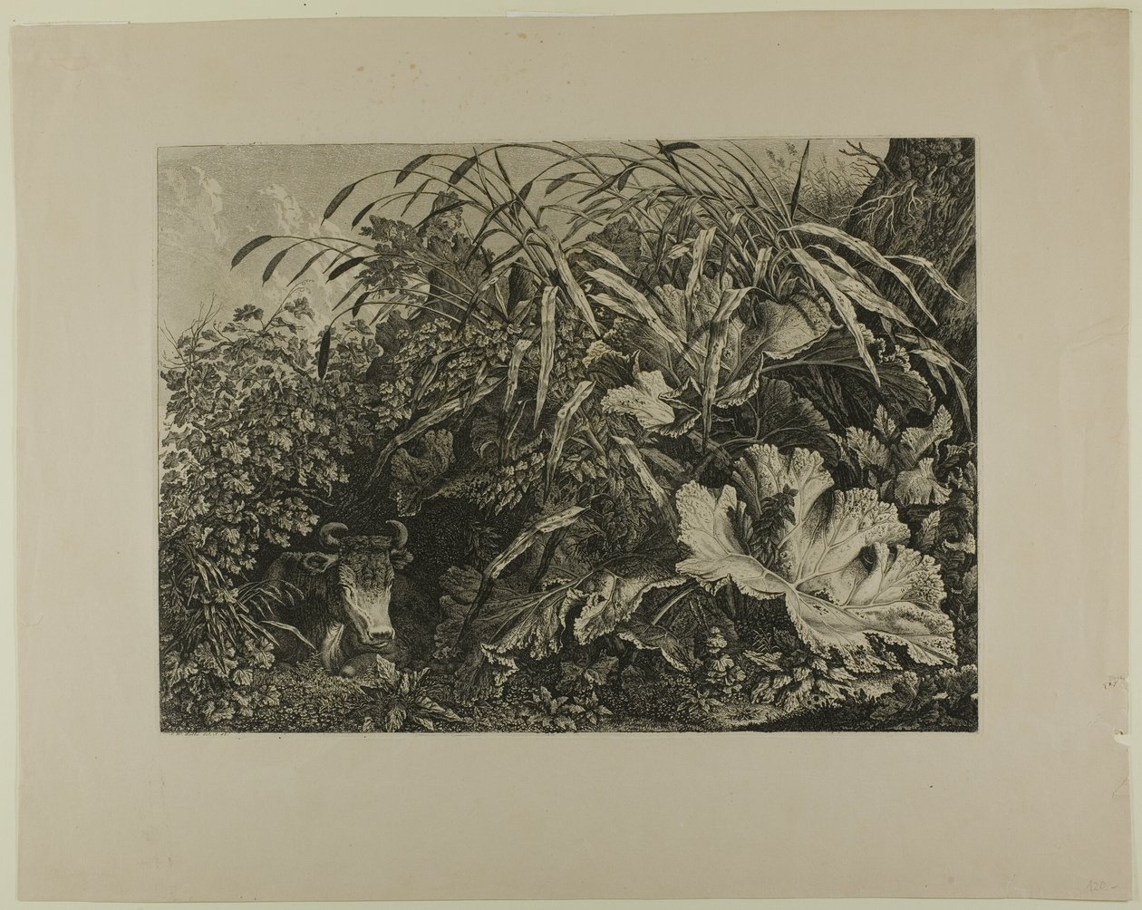 Mucca in piedi in una palude da Carl Wilhelm Kolbe, the elder