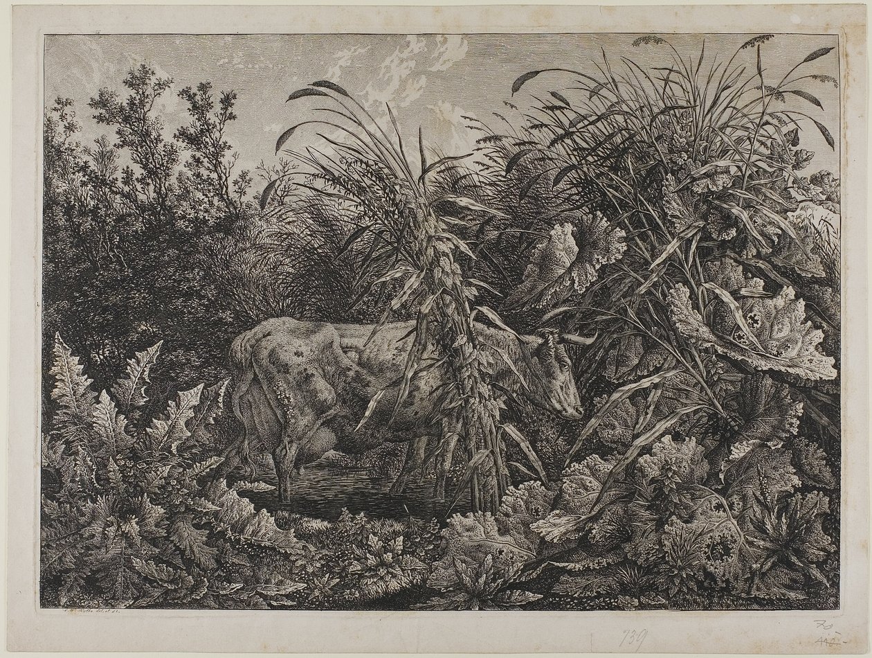 Mucca in un ruscello da Carl Wilhelm Kolbe the elder