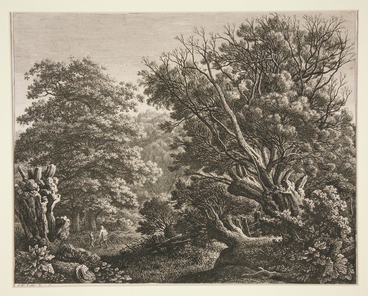 Paesaggio con albero nodoso da Carl Wilhelm Kolbe the elder