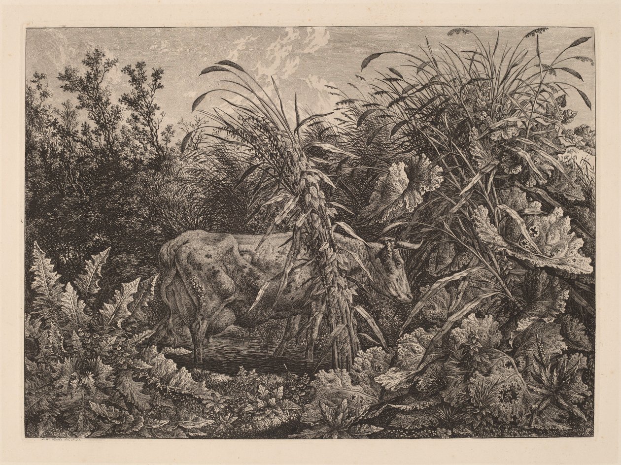 La Mucca nella Palude da Carl Wilhelm Kolbe, the elder