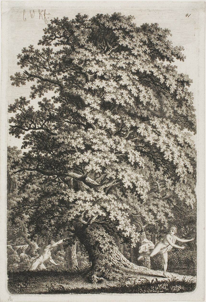 Donna in fuga da un uomo che impugna una lancia nella foresta da Carl Wilhelm Kolbe the elder