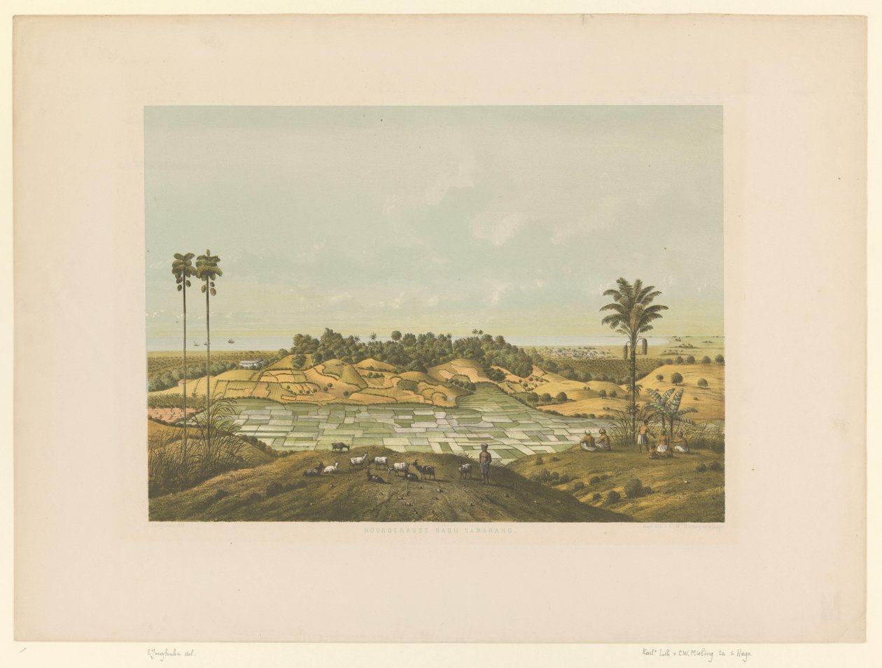 Vista di un paesaggio vicino a Samarang da Carl Wilhelm Mieling (possibly)