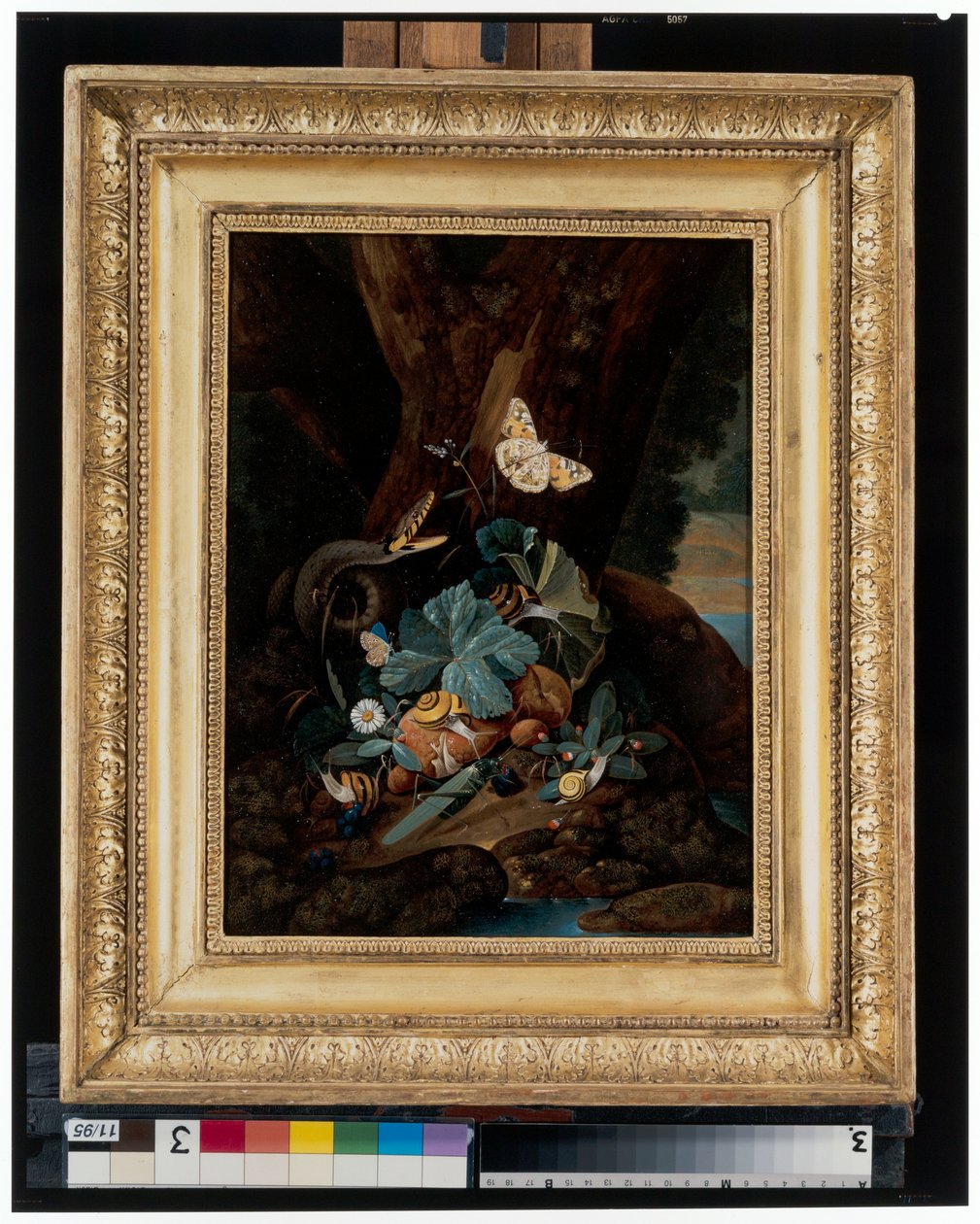 Natura morta del suolo della foresta con lumache, serpenti, lucertole e farfalle da Carl Wilhelm de Hamilton