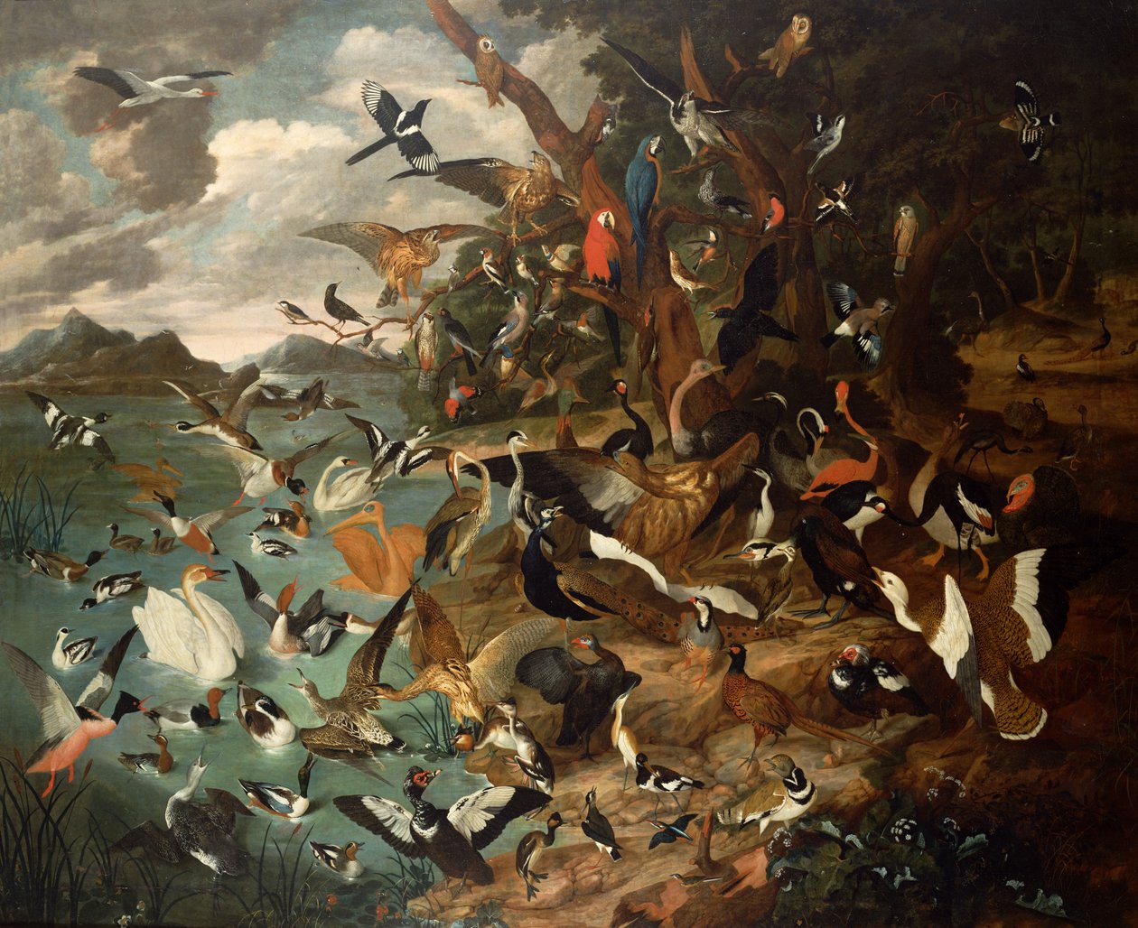 Il Parlamento degli Uccelli da Carl Wilhelm de Hamilton