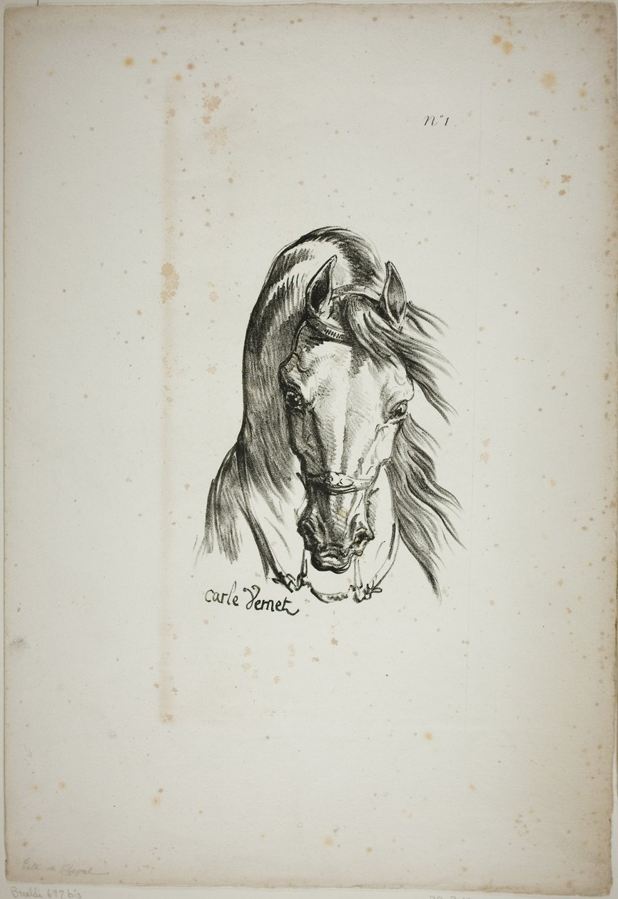 Particolare della testa di cavallo, ingrandita a grandezza tripla, Guardia Reale Normanna, n. 1 da Carle Vernet