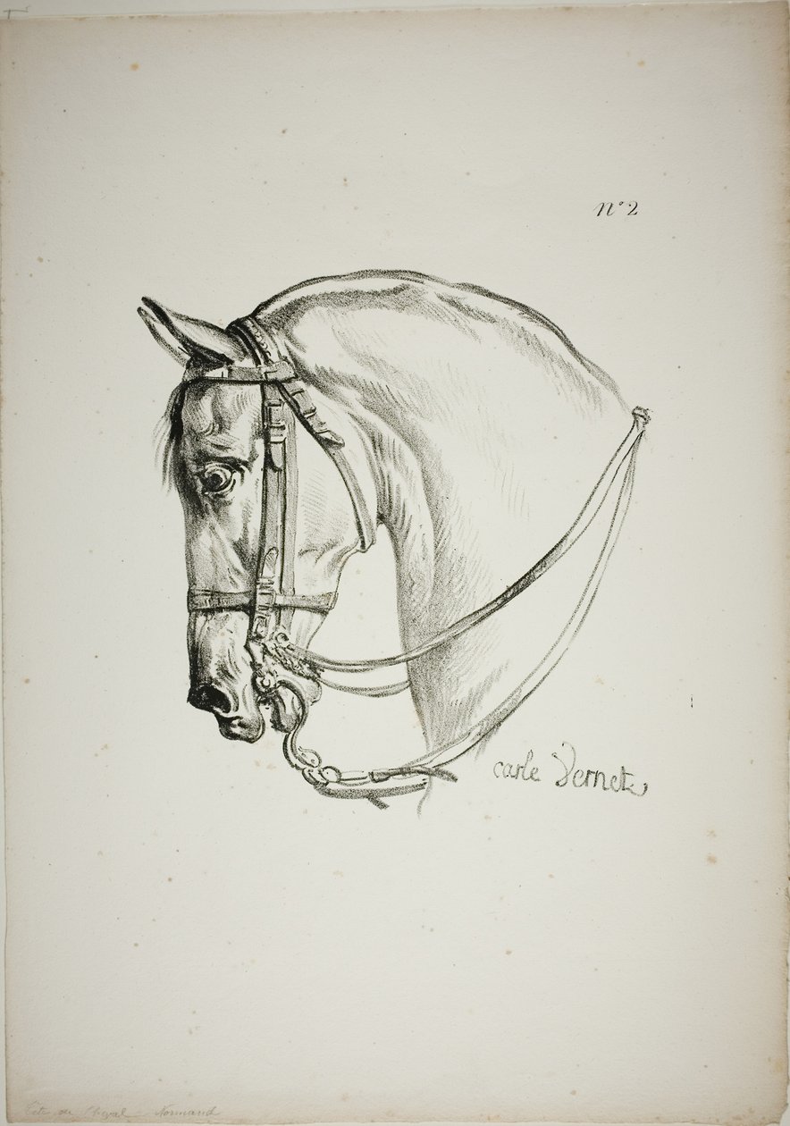 Particolare della testa di cavallo, ingrandita a grandezza tripla, Guardia Reale Normanna, n. 2 da Carle Vernet