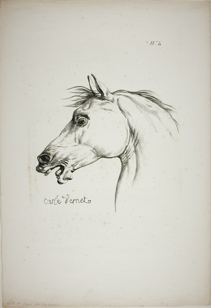 Particolare della testa di cavallo, ingrandita a grandezza tripla, Guardia Reale Normanna, n. 4 da Carle Vernet