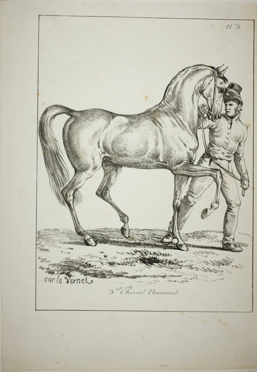 Guardia reale, cavaliere normanno, non in uniforme completa, e cavallo, n. 3 da Carle Vernet