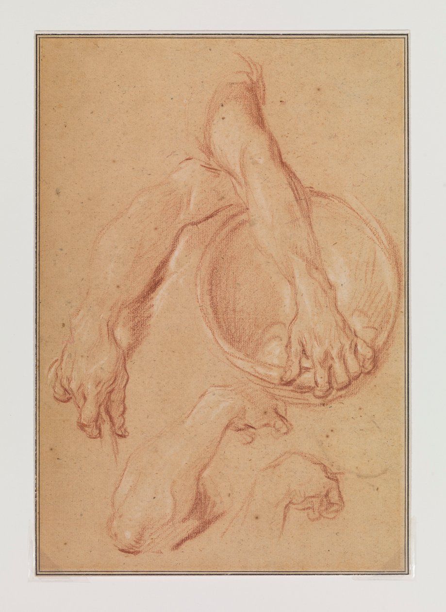 Studien eines Arms da Carle van Loo