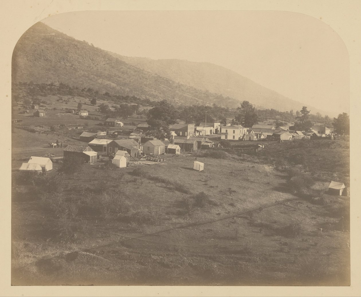 (Bear Valley) da Carleton E. Watkins
