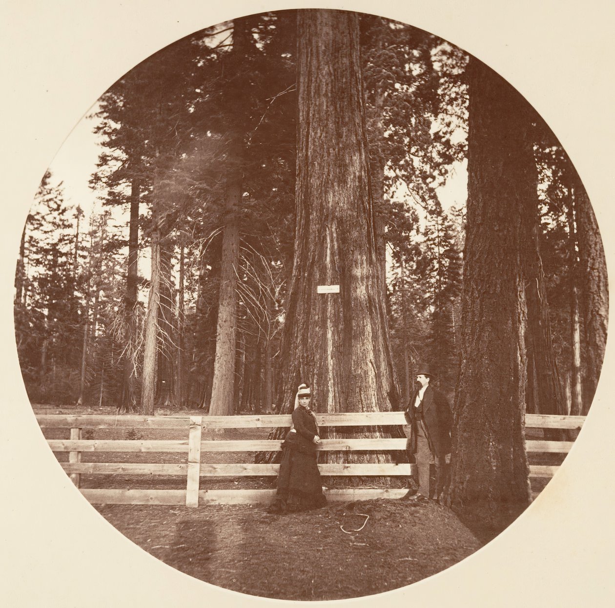 Auld Reckie da Carleton Emmons Watkins