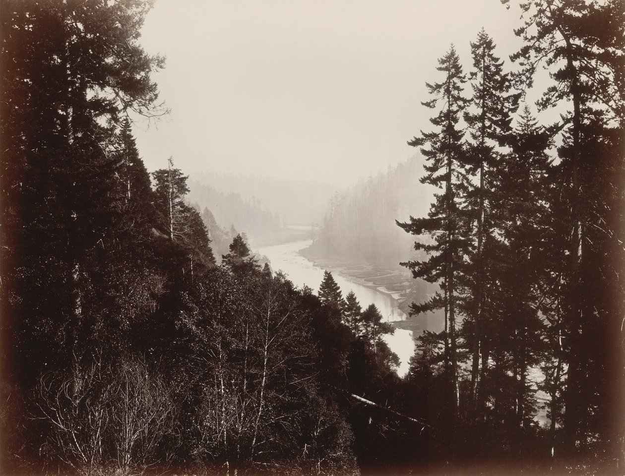 Grande Fiume, dalla Rancheria, Mendocino, California, 1863 da Carleton Emmons Watkins