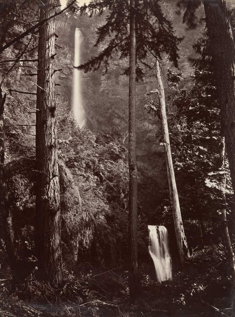 Cascate Multnomah, Oregon, 1867, stampato successivamente da Carleton Emmons Watkins