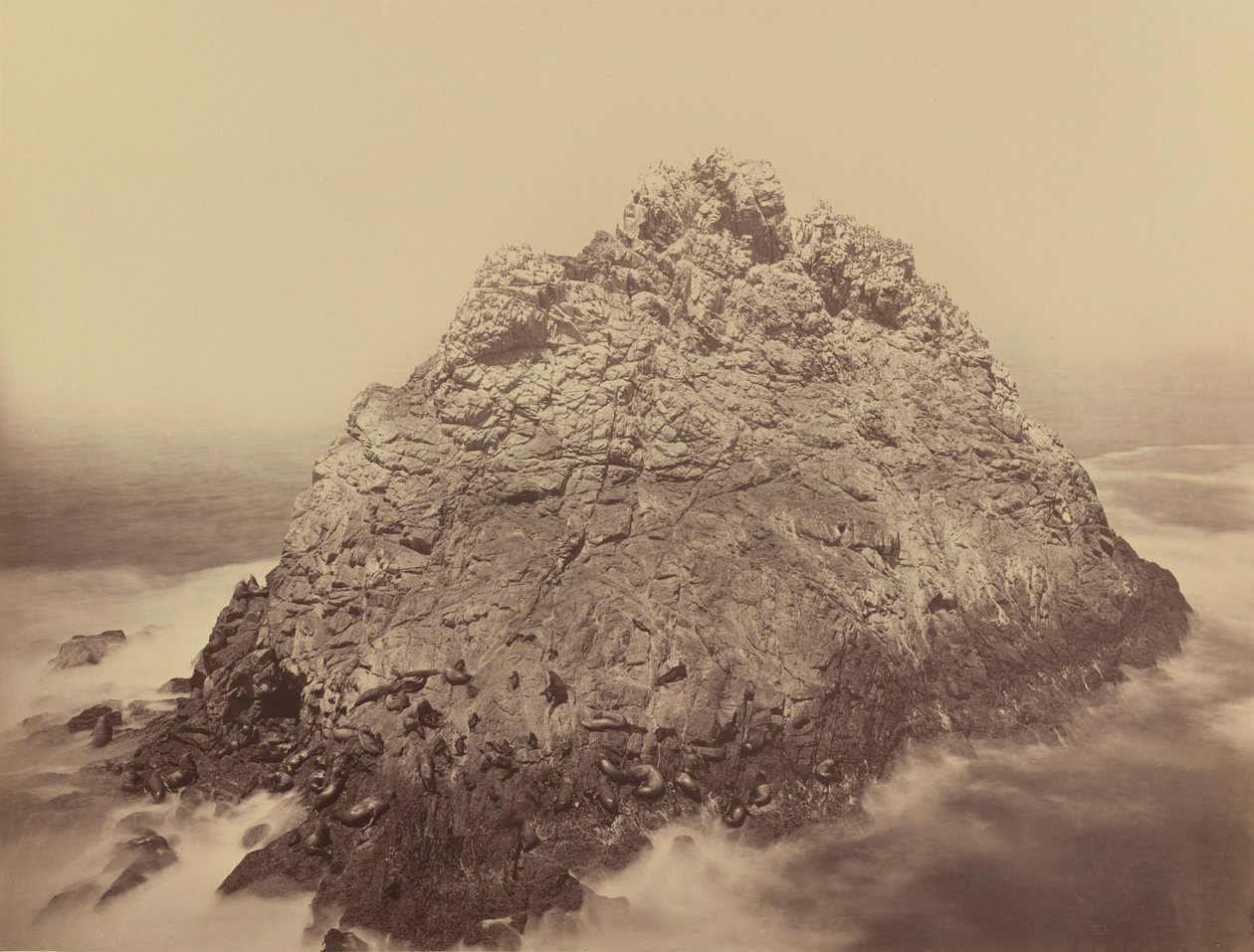 Isola Pan di Zucchero, Farallons, 1868/1869 (foto) da Carleton Emmons Watkins