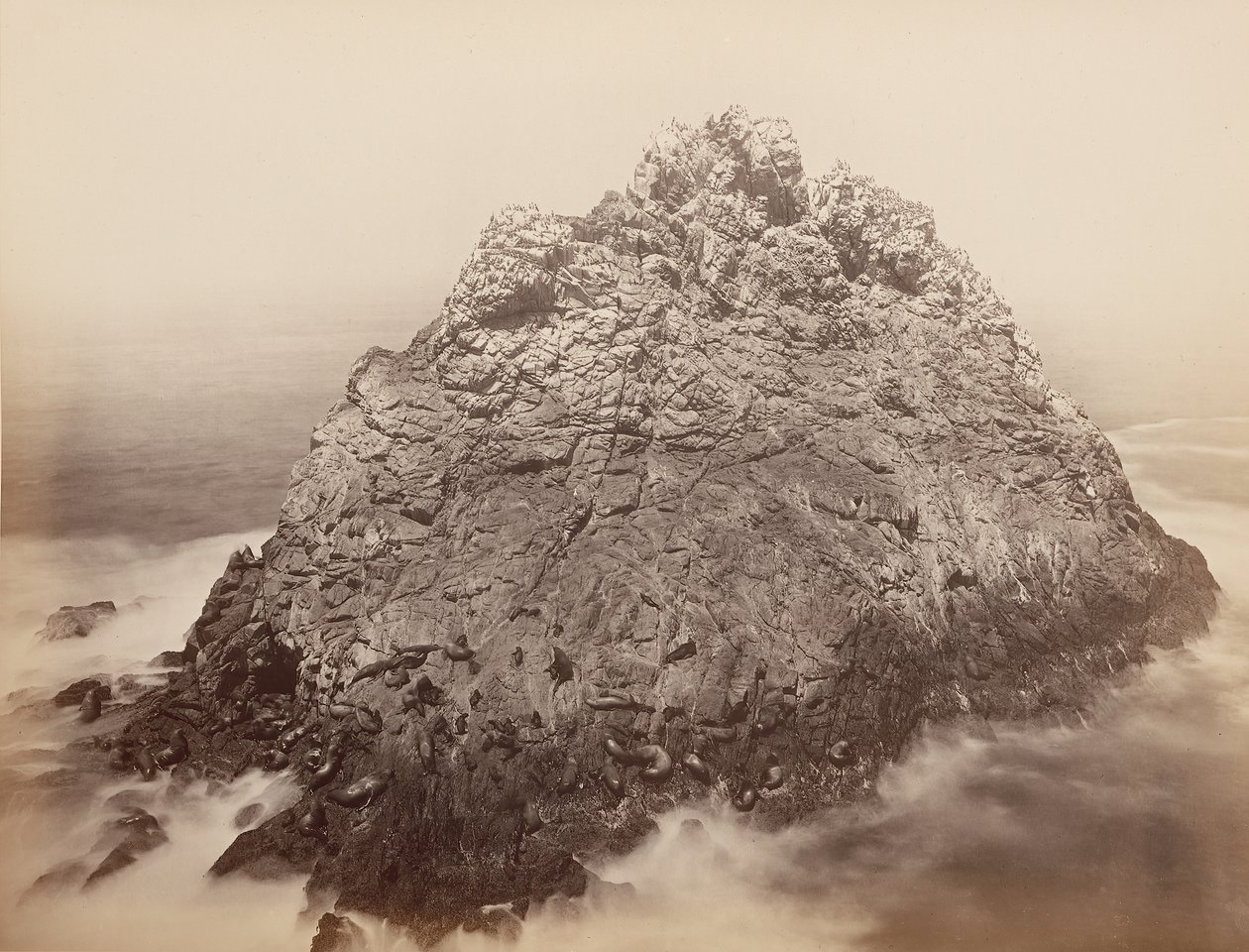 Isole Sugar Loaf, Farallons, 1868-69 da Carleton Emmons Watkins