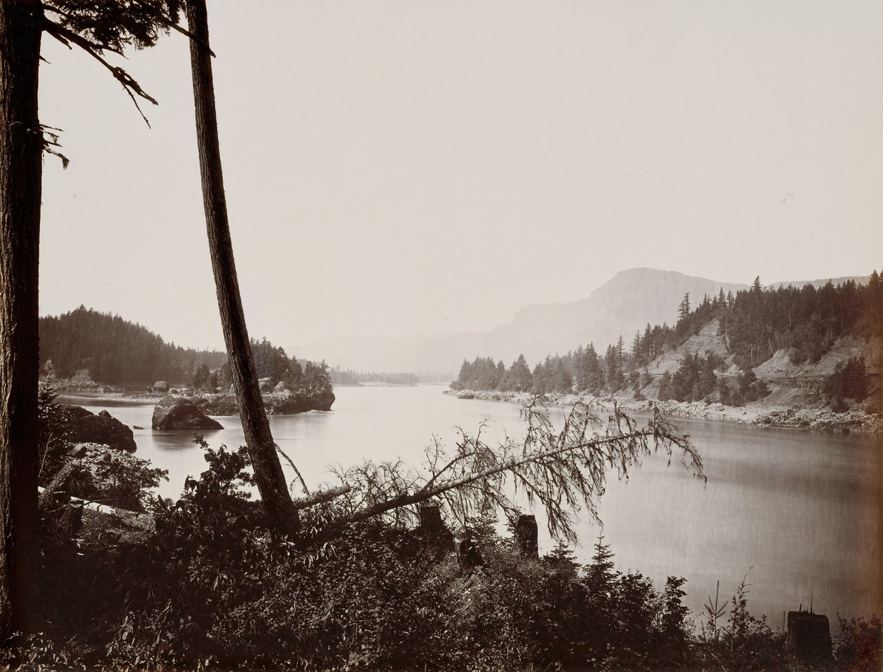 Vista sul Columbia, Cascades, 1867 da Carleton Emmons Watkins