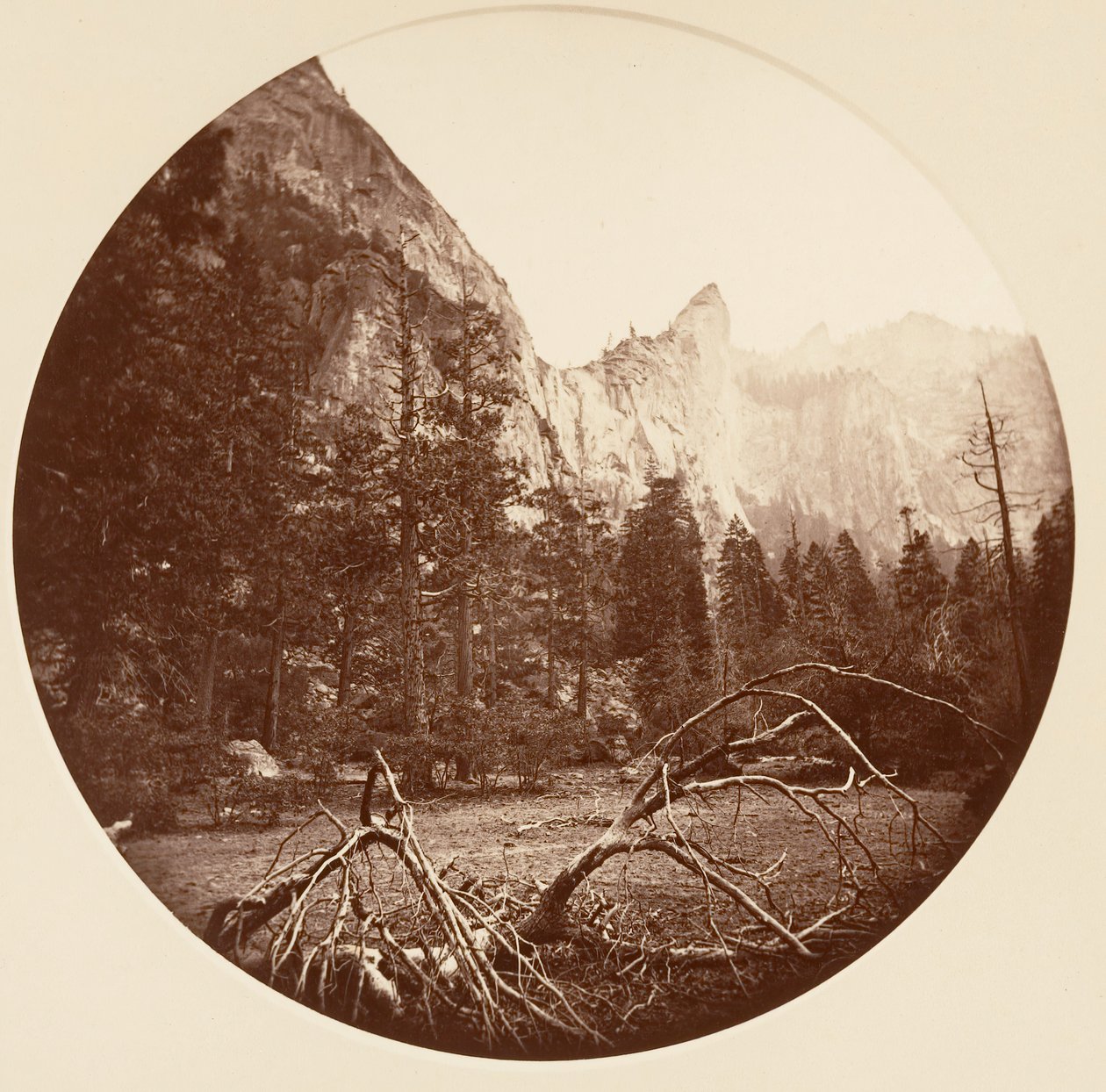 Parco Nazionale di Yosemite, California, ca. 1878 da Carleton Emmons Watkins